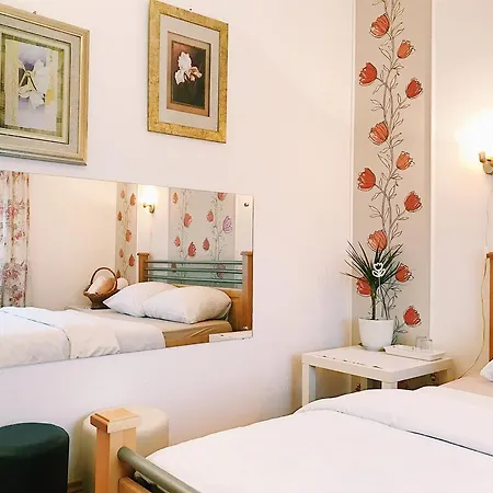 Luigi Guest house *
